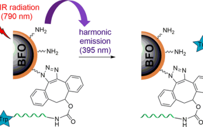 Two-Photon-Triggered Photorelease of Caged Compounds from Multifunctional Harmonic Nanoparticles
