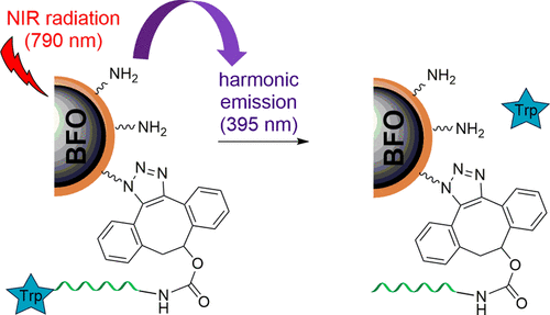 Two-Photon-Triggered Photorelease of Caged Compounds from Multifunctional Harmonic Nanoparticles